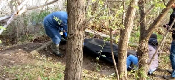 Cadavru descoperit într-o pădure din Timișoara. Spânzurat