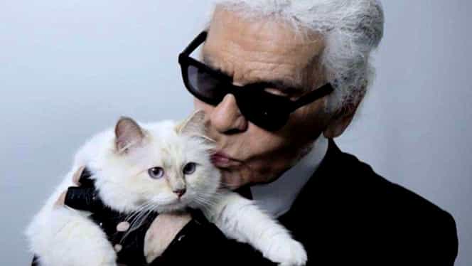 Choupette, pisica lui Karl Lagerfeld, primește mesaje de condoleanțe de la utilizatorii Instagram după moartea designerului