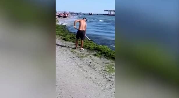 Tineri filmati cand arunca algele inapoi in mare