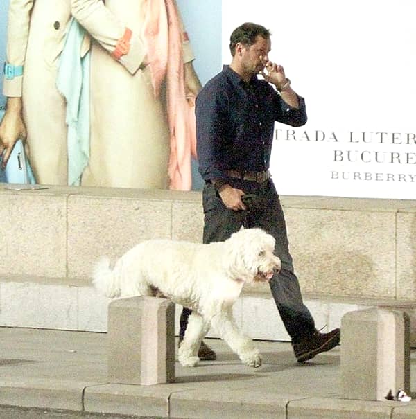 GALERIE FOTO. Ce «tratament» de vedeta a avut câinele lui Robbie Williams în România!