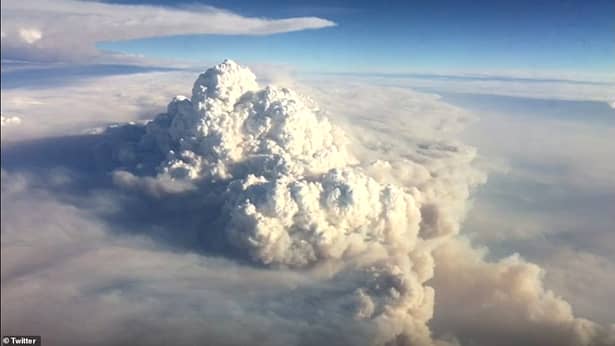 Imagini apocaliptice din Australia. Cerul s-a făcut roșu de la incendii. Țara se află în cea mai mare urgență climatică din istorie – Video/ Foto