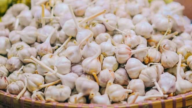Ministerul Agriculturii acordă 3.000 de euro fermierilor care cultivă usturoi! Noile condiții pentru înscrierea în program