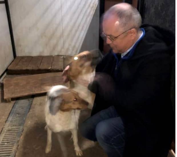 Emil Boc la un adăpost de animale: „Câinii ăia au mai multă căldură decât votanții lui Firea din București”