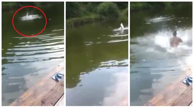 Și-au filmat prietenul în timp ce se îneca într-un lac!Motivul incredibil pentru care nu au intervenit