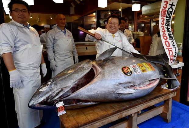 Record în prima licitaţie a anului din Japonia! Un ton roşu uriaş, vândut pentru 1,8 milioane de dolari