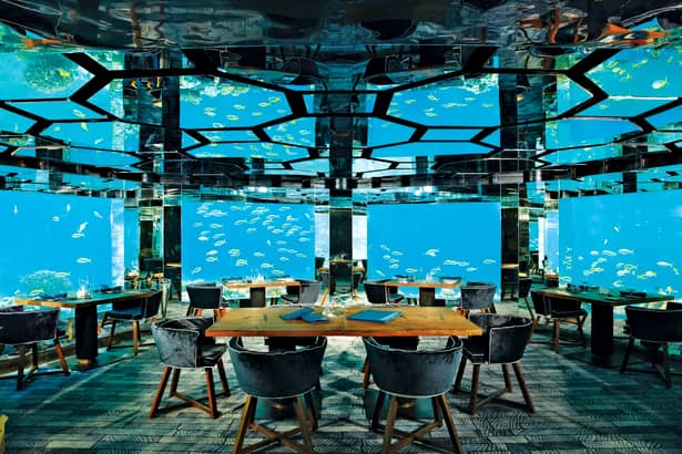 Topul celor mai scumpe restaurante din lume! Poţi mânca printre rechini! GALERIE FOTO!