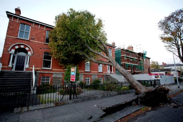 Furtuna Ophelia a ucis trei oameni în Irlanda! 120 de mii de case au rămas fără electricitate! GALERIE FOTO şi VIDEO