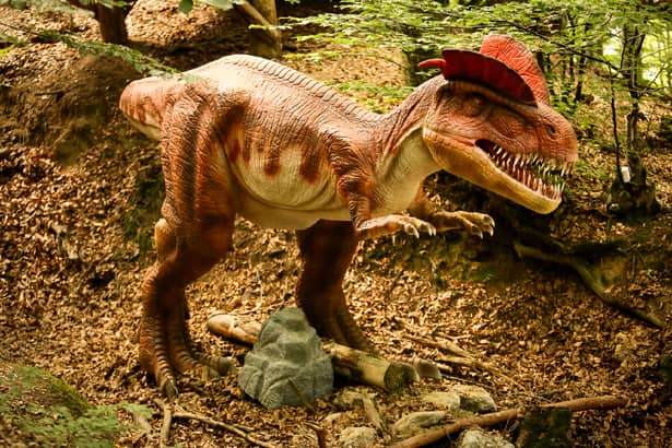 La Dino Parc turiștii pot vedea 47 de dinozauri în mărime naturală