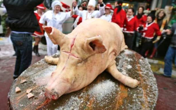 Tradiții și obiceiuri de Ignat: porcul trebuie așezat cu capul spre Răsărit și sfințit, la fel ca și locul sacrificării