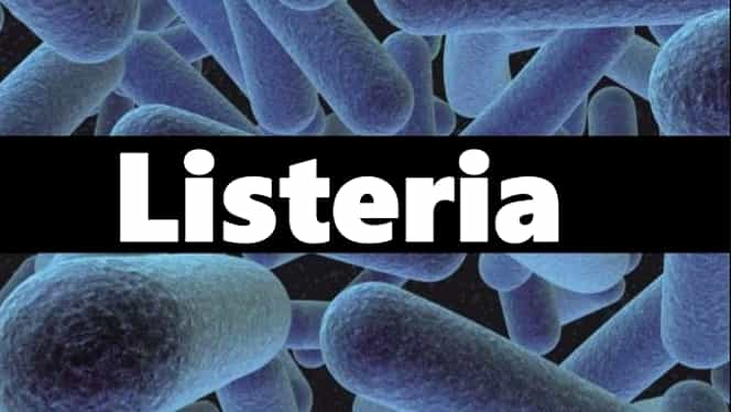 Ce este bacteria listeria. Simptome, tratament și complicații