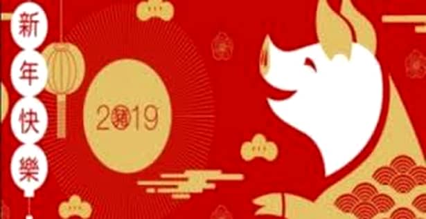 Anul Porcului de Pământ, 2019. Cine va avea mulţi bani, conform Zodiacului Chinezesc