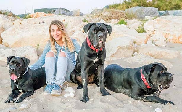 Andeea Ibacka a crescut și îngrijit cu mare dragoste patru câini superbi.