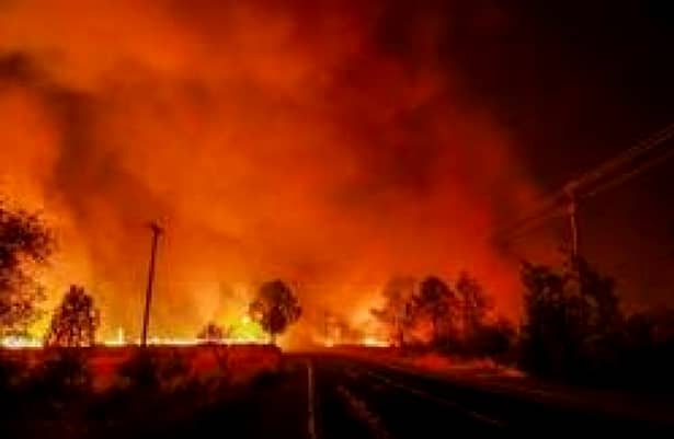 Bilanțul victimelor incendiilor din California: 42 de persoane au murit și 220 sunt dispărute-FOTO+VIDEO