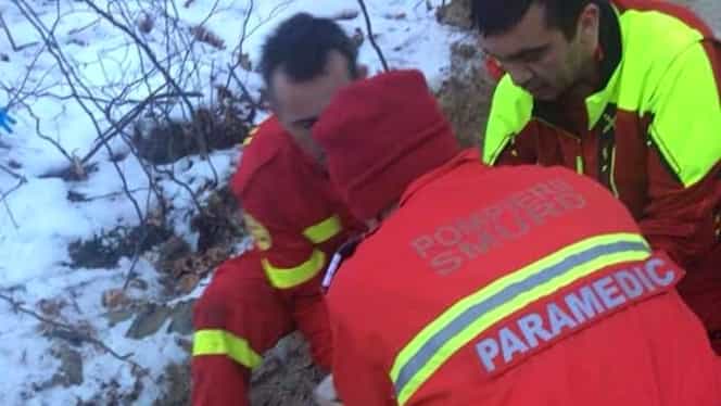 Un bărbat a murit după ce a fost strivit de cai într-o pădure din Maramureș