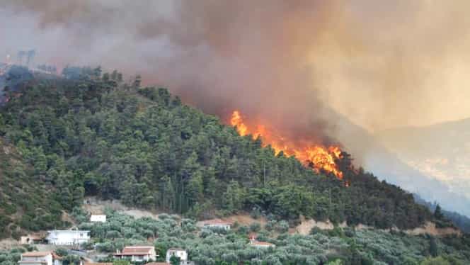 Alertă pentru turiştii români din Grecia. Pericol maxim de incendii. Anunţul MAE