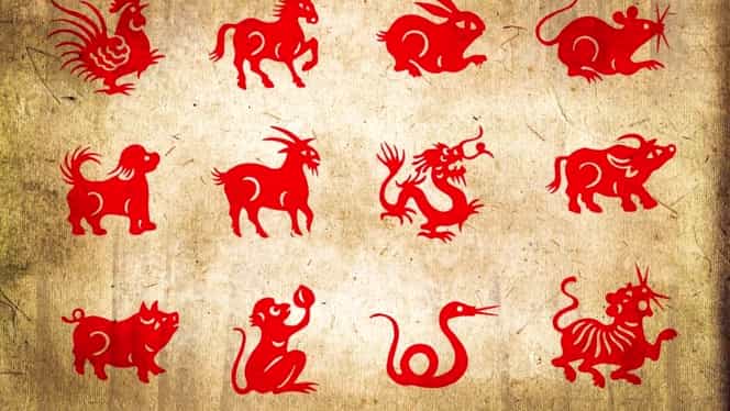 Zodiac chinezesc pentru luni, 23 martie. Mistrețul poate suferi un accident