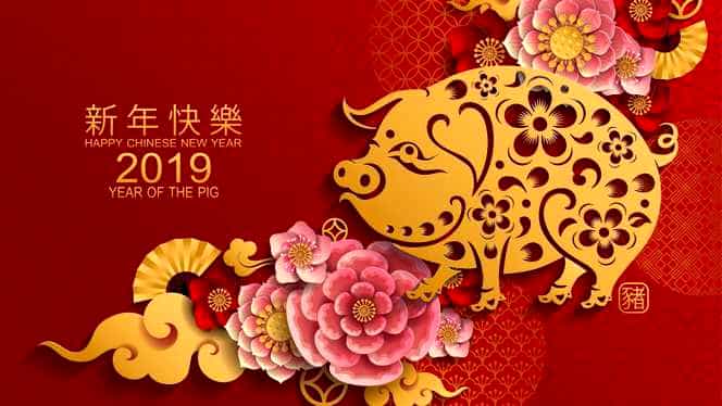 Zodiac chinezesc, săptămâna 18-24 februarie. Săptămâna a treia din anul Mistrețului de Pământ