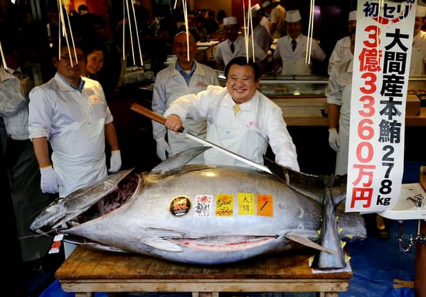 Regele tonului a plătit 3,1 milioane de dolari pentru un pește de 278 de kilograme. Este record absolut!
