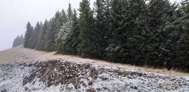 Ninge în Bucovina. Zăpada a început să se instaleze în masivul Rarău. FOTO și VIDEO