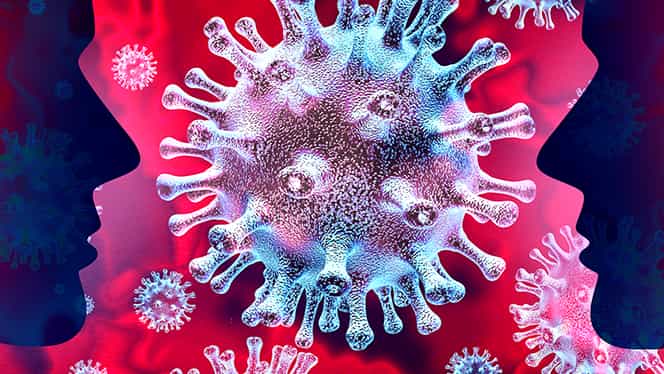 Oamenii de știință susțin că noul coronavirus s-a dezvoltat în mod natural! De vină ar fi atât liliecii, cât și pangolinii