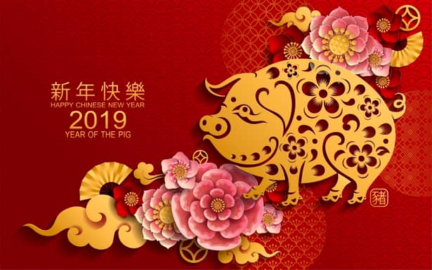 Zodiac chinezesc 2019: este anul Mistreţului