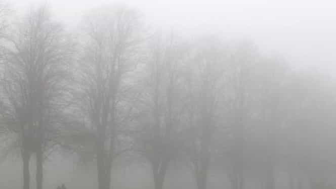 ANM a emis cod galben de ceață! Ce se întâmplă în țară