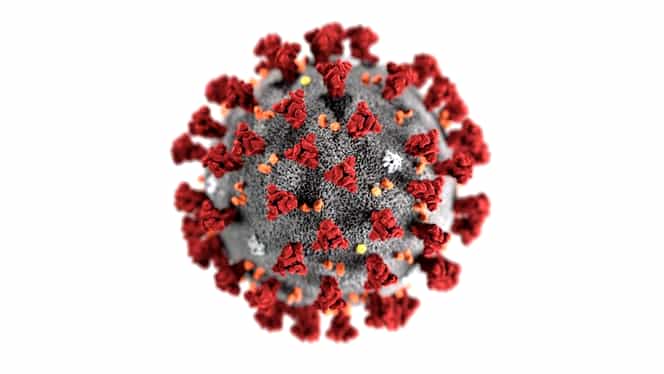 Epidemiologii vin cu vești proaste despre COVID-19: ”Virusul nu va fi influenţat de temperaturile ridicate”