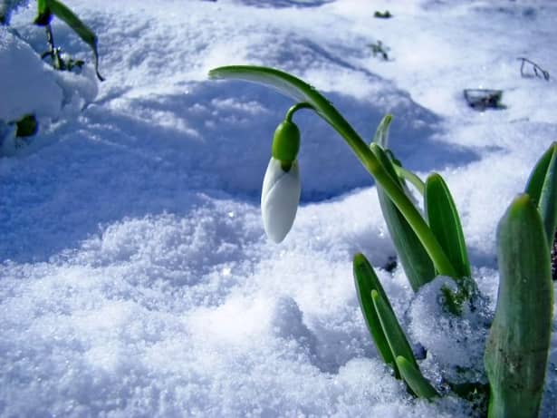 Vremea de 1 Martie! Prognoza meteo pentru săptămâna 25 februarie – 3 martie