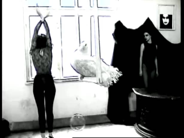 VIDEO / Imagini bombă cu Mihaela Rădulescu! Uite cum dansează cu sînii goi!
