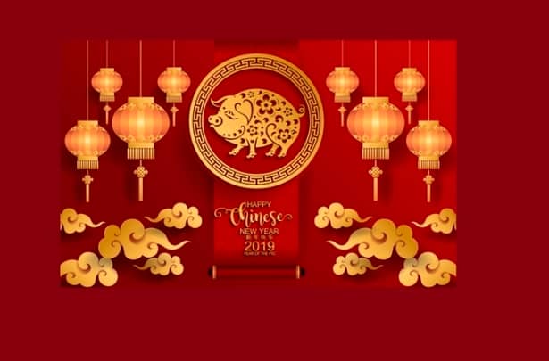 În zodiacul chinezesc, 2019 este anul Mistreţului