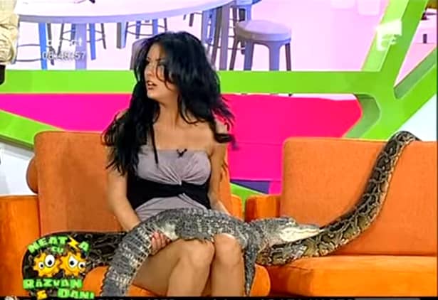 Daniela Crudu, gafa impardonabilă în direct la TV! „N-are lenjerie intimă!”
