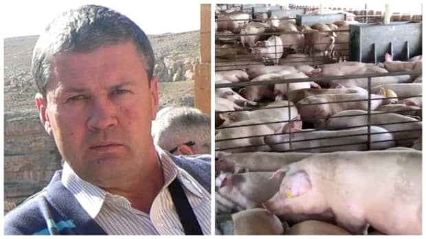 Un fermier român face un apel disperat către Guvernul României! „Nimeni nu mai vrea să cumpere de la noi”