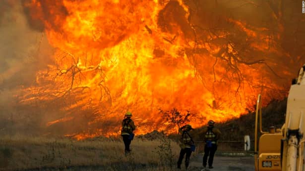 Bilanțul victimelor incendiilor din California: 42 de persoane au murit și 220 sunt dispărute-FOTO+VIDEO
