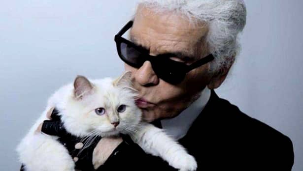 Pisica lui Karl Lagerfeld primește mesaje de condoleanțe pe Instagram după moartea designerului