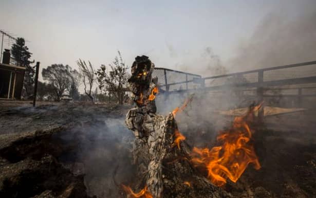 Bilanțul victimelor incendiilor din California a urcat la 42 de morți și 220 de persoane care au dispărut. Incendiile de vegetație din California au distrus în totalitate orașul Paradise și a fost numit cel mai periculos din istoria statului, potrivit Reuters.