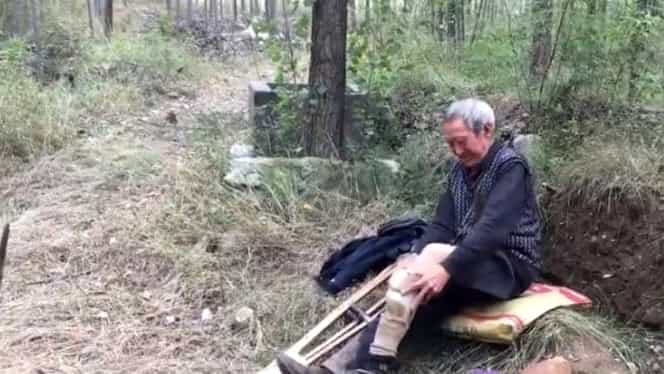 Emoționant! Un bătrân de 70 de ani, fără picioare, a plantat mii de pomi! Răvășitor