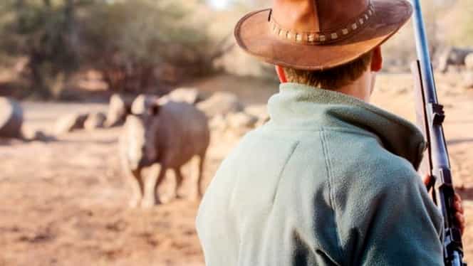 Răzbunarea naturii. Un braconier care vâna rinoceri a fost ucis de un elefant, iar trupul i-a fost devorat de lei
