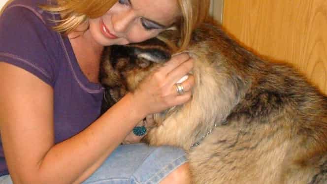 Doi dintre câinii Cristinei Țopescu, găsiți morți și duși la Institutul de Diagnostic și Sănătate Animală pentru necropsie – UPDATE