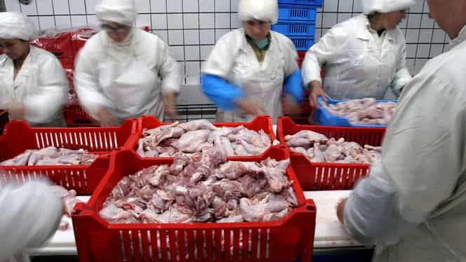 Cum am ajuns să mâncăm pesticide interzise. Mai multe ferme avicole vând ouă și carne de pui cu Fipronil, insecticid interzis la animalele destinate consumului uman