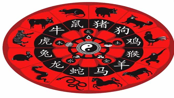 Zodiac chinezesc pentru sâmbătă, 14 decembrie. Șobolanii și Mistreții au o zi bulversantă