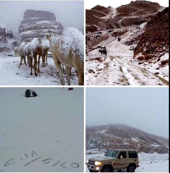 A nins în deşertul Arabiei Saudite! Pozele cu cămile acoperite de zăpadă fac înconjurul Internetului!