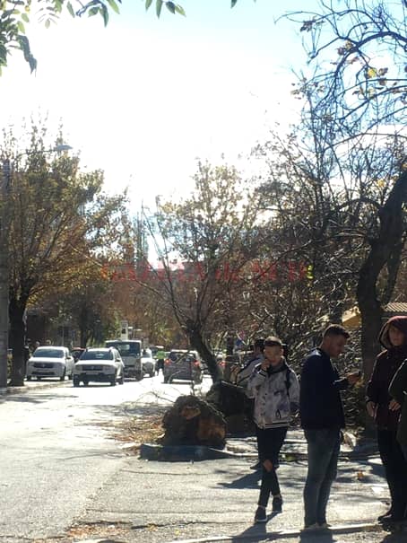 După ce codul potrocaliu a fost anunțat recent, un copac a fost dărâmat de intensitatea vântului, prăbușindu-se peste o femeie, la Craiova.