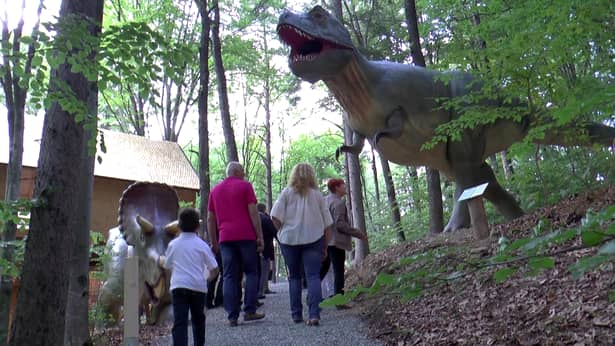 10 lucruri pe care poți să le faci, împreună cu copiii, la Dino Parc din Râșnov