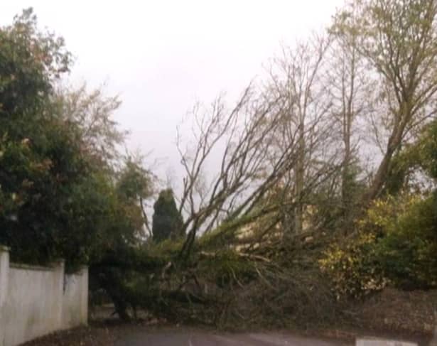 Irlanda se pregăteşte să ţină piept uraganului Ophelia! Şcolile au fost închise! Este cod roşu! GALERIE FOTO şi VIDEO
