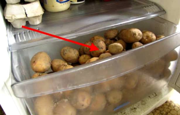 Cartofii nu se pun în niciun caz in frigider, amidonul din ei transformandu-se in zahar si schimbandu-le considerabil textura. Rezultatul este ca la pregatirea termica devin granulosi. Exista totusi doua exceptii: cartofii noi, care se pot pastra doua-trei zile la rece, si cei dulci.