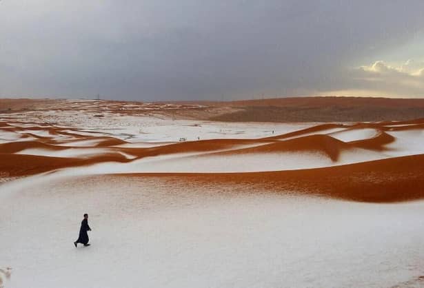 A nins în deşertul Arabiei Saudite! Pozele cu cămile acoperite de zăpadă fac înconjurul Internetului!