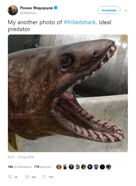 Roman Fedortsov, specialist în specii de pești din apa adâncă, a arătat lumii niște fotografii horror ale unor pești care sunt extrem de puțin cunoscuți omenirii. Aceștia arată cel puțin ca niște monștri.