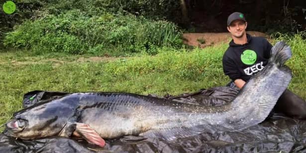 Captură record pe un râu din sudul ţării! A fost prins cel mai mare somn din lume! GALERIE FOTO şi VIDEO