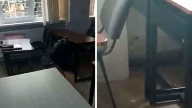VIDEO. Imagini greu de privit într-un liceu din Galați: un șobolan pune elevii pe fugă într-o sală de clasă. În școală fusese făcută deratizarea