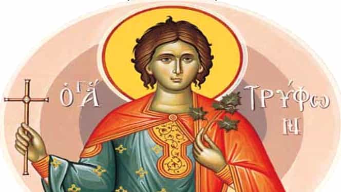 Calendar ortodox 1 februarie: Sfântul Mucenic Trifon